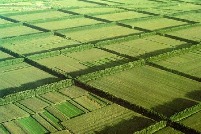 柴油機消防泵在農田、水力、排灌